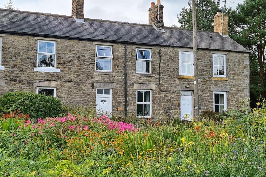 Woodcutters Cottage, Northumberland ハルトホイッスル エクステリア 写真